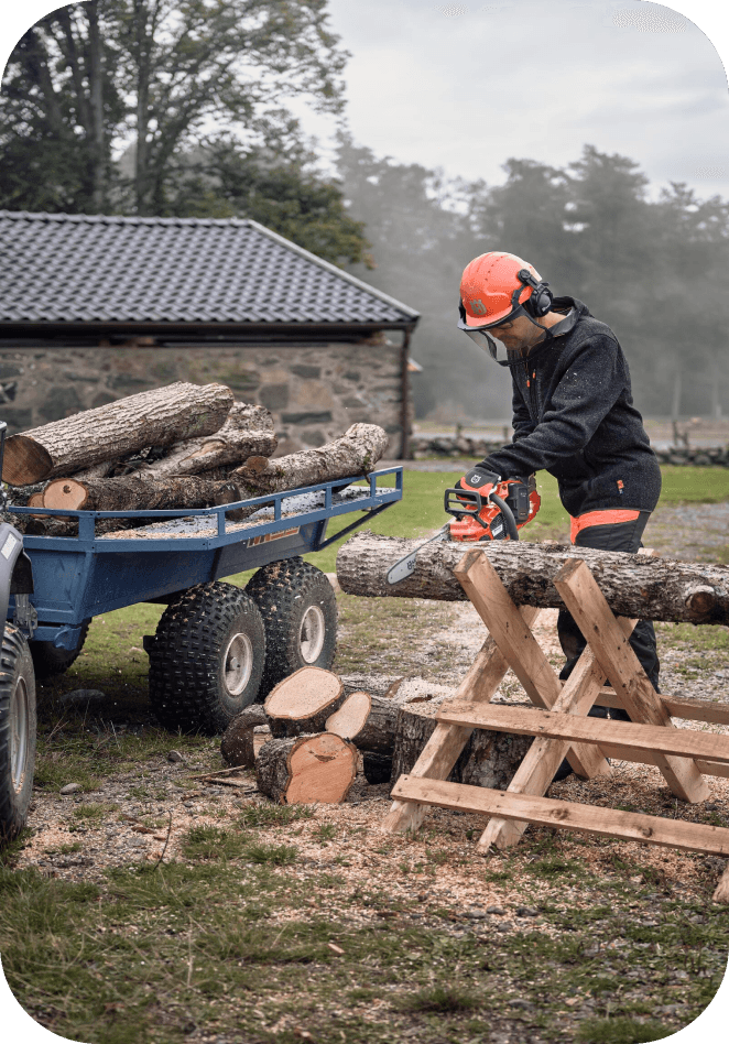 Sawing tree trunk